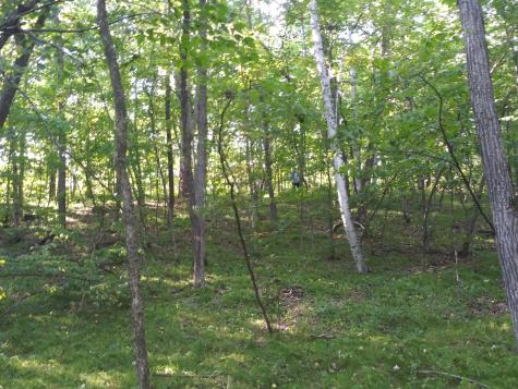 23847 Arcade Loop Menahga MN 56464