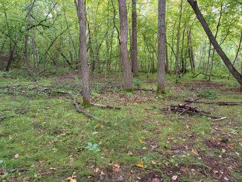 23847 Arcade Loop Menahga MN 56464