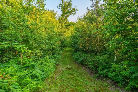 0 County Road S Blair WI 54616