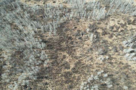 Tbd Anderson Crossing Road Sebeka MN 56477