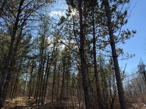 Tbd Anderson Crossing Road Sebeka MN 56477