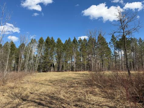 Tbd Anderson Crossing Road Sebeka MN 56477