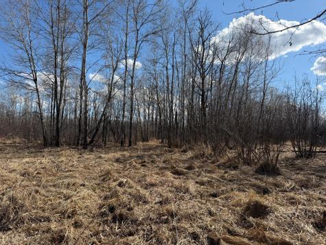 Tbd Anderson Crossing Road Sebeka MN 56477