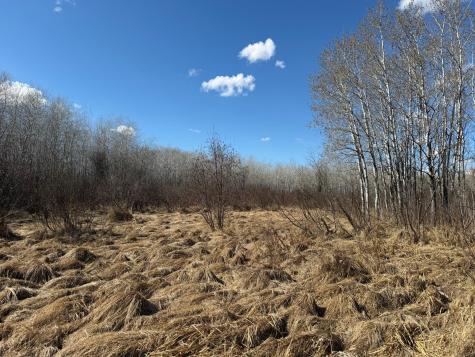 Tbd Anderson Crossing Road Sebeka MN 56477