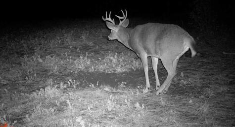 Tbd Anderson Crossing Road Sebeka MN 56477