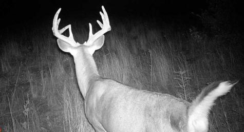 Tbd Anderson Crossing Road Sebeka MN 56477