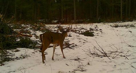 Tbd Anderson Crossing Road Sebeka MN 56477