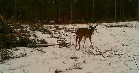 Tbd Anderson Crossing Road Sebeka MN 56477
