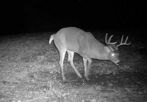 Tbd Anderson Crossing Road Sebeka MN 56477
