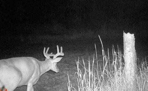 Tbd Anderson Crossing Road Sebeka MN 56477
