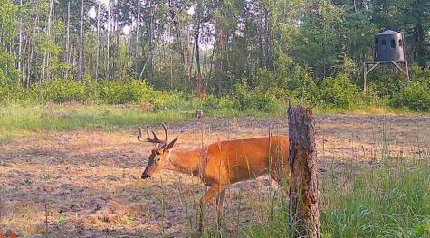 Tbd Anderson Crossing Road Sebeka MN 56477