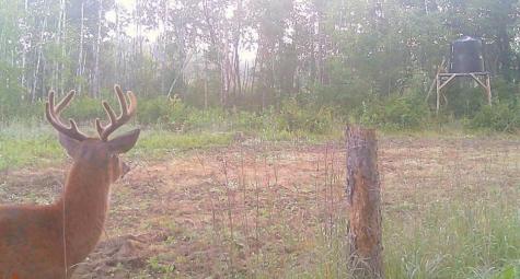 Tbd Anderson Crossing Road Sebeka MN 56477