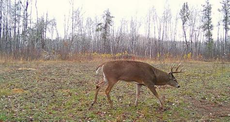 Tbd Anderson Crossing Road Sebeka MN 56477