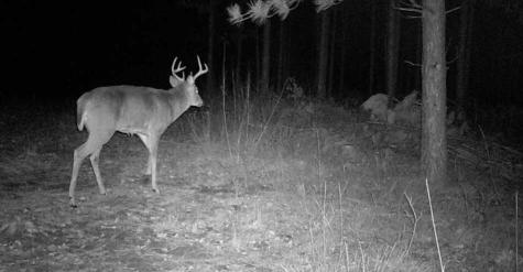 Tbd Anderson Crossing Road Sebeka MN 56477