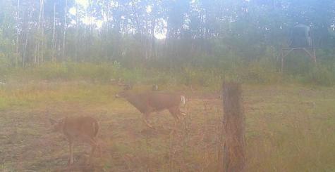 Tbd Anderson Crossing Road Sebeka MN 56477