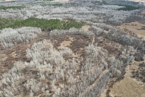 Tbd Anderson Crossing Road Sebeka MN 56477