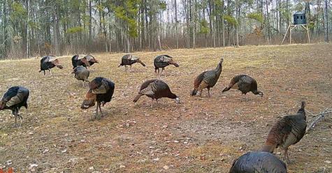 Tbd Anderson Crossing Road Sebeka MN 56477