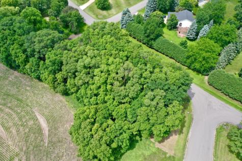 Tbd 161st Avenue NE New London MN 56273