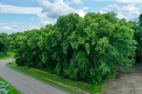 Tbd 161st Avenue NE New London MN 56273