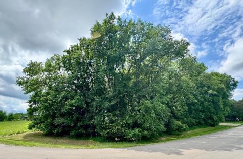 Tbd 161st Avenue NE New London MN 56273