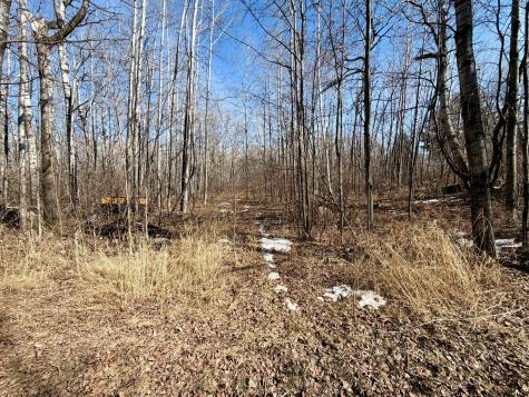 Tbd First Avenue N Kelly Lake MN 55746