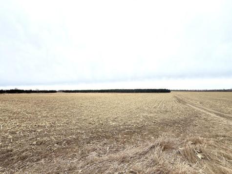 Tbd 400th Street New York Mills MN 56567