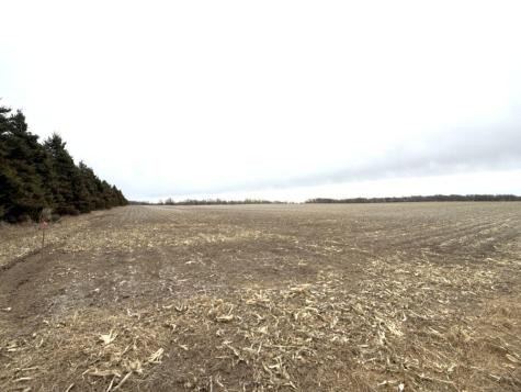Tbd 400th Street New York Mills MN 56567