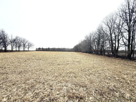 Tbd 400th Street New York Mills MN 56567