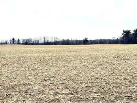Tbd 400th Street New York Mills MN 56567