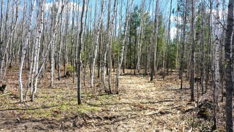 Tbd Parcel G Frazer Bay Road Cook MN 55723