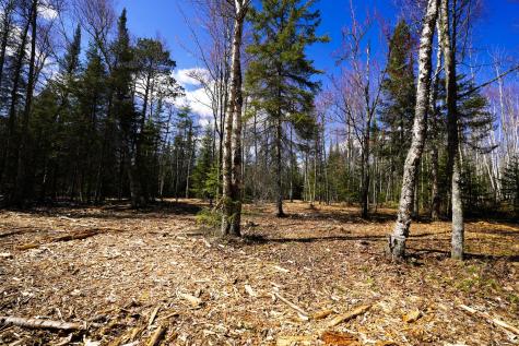 Tbd Parcel G Frazer Bay Road Cook MN 55723