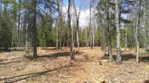 Tbd Parcel G Frazer Bay Road Cook MN 55723
