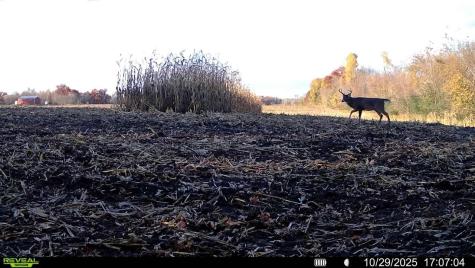 TBD-38AC 465th Street Sunrise Twp MN 55032