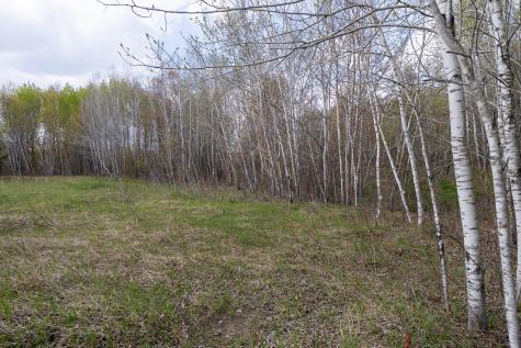 TBD-38AC 465th Street Sunrise Twp MN 55032
