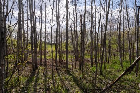 TBD-38AC 465th Street Sunrise Twp MN 55032