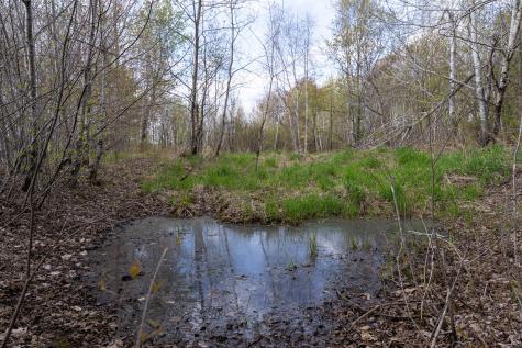TBD-38AC 465th Street Sunrise Twp MN 55032