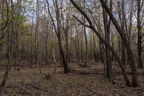 TBD-38AC 465th Street Sunrise Twp MN 55032