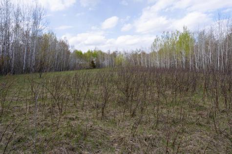 TBD-38AC 465th Street Sunrise Twp MN 55032