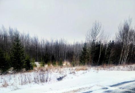 17 E County Road Mizpah MN 56660
