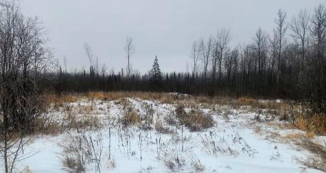 17 E County Road Mizpah MN 56660