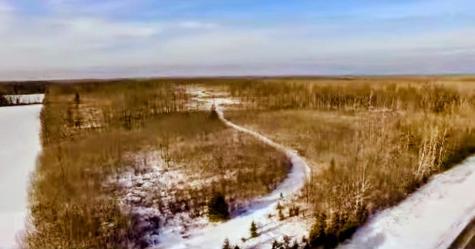 17 E County Road Mizpah MN 56660