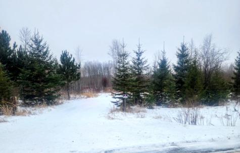17 E County Road Mizpah MN 56660