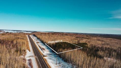 Tbd Parcel 17 Highway 115 Tower MN 55790