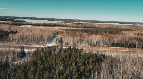 Tbd Parcel 17 Highway 115 Tower MN 55790