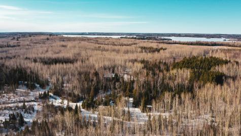 Tbd Parcel 17 Highway 115 Tower MN 55790