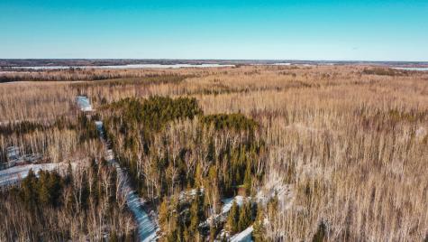 Tbd Parcel 17 Highway 115 Tower MN 55790