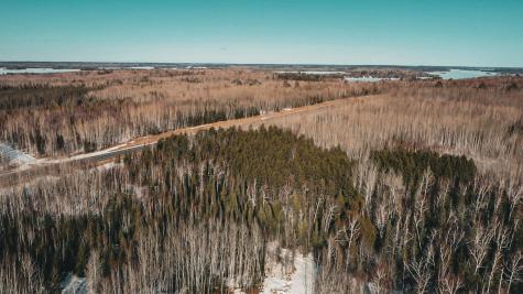 Tbd Parcel 17 Highway 115 Tower MN 55790