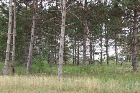 1981 Long Pine Drive Detroit Lakes MN 56501