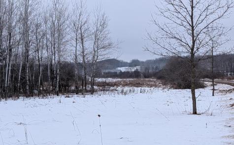 Tbd Hummingbird Road Long Prairie MN 56347
