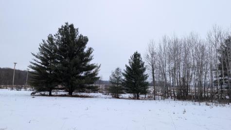 Tbd Hummingbird Road Long Prairie MN 56347